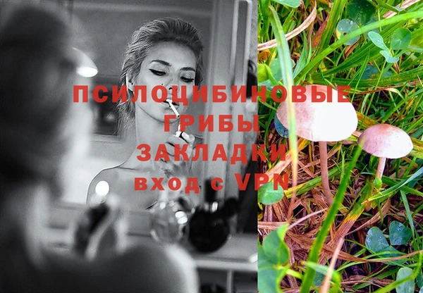 прущий лед Богородск