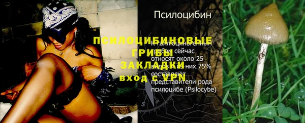 кокс Богородицк
