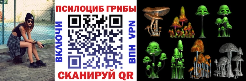 Псилоцибиновые грибы ЛСД  Морозовск 